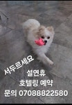 개멋진날