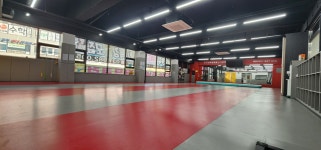 한국파워점핑줄넘기 장기점