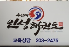 용인대인성태권도