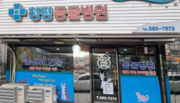 청평동물병원