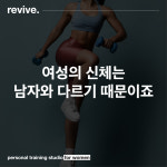 리바이브PT