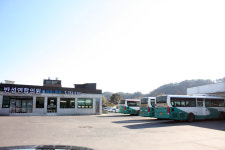 반성연합의원