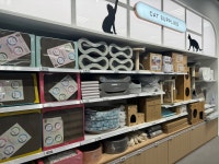 몰리스펫샵 스타필드 수원점