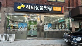 해피동물병원