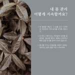 유 피티 스튜디오