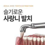 서울슬기로운치과의원