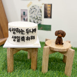 디어마이독