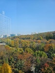 대우 공인중개사사무소