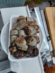 백암순대 능곡점