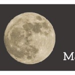 메이크어데이 MAKEADAY