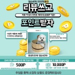 멍냥의민족 안양관양점