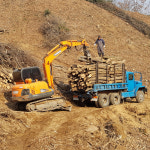 참나무장작 일성임업
