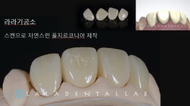 라라치과기공소