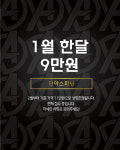 단아 스피닝