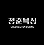 청춘복싱