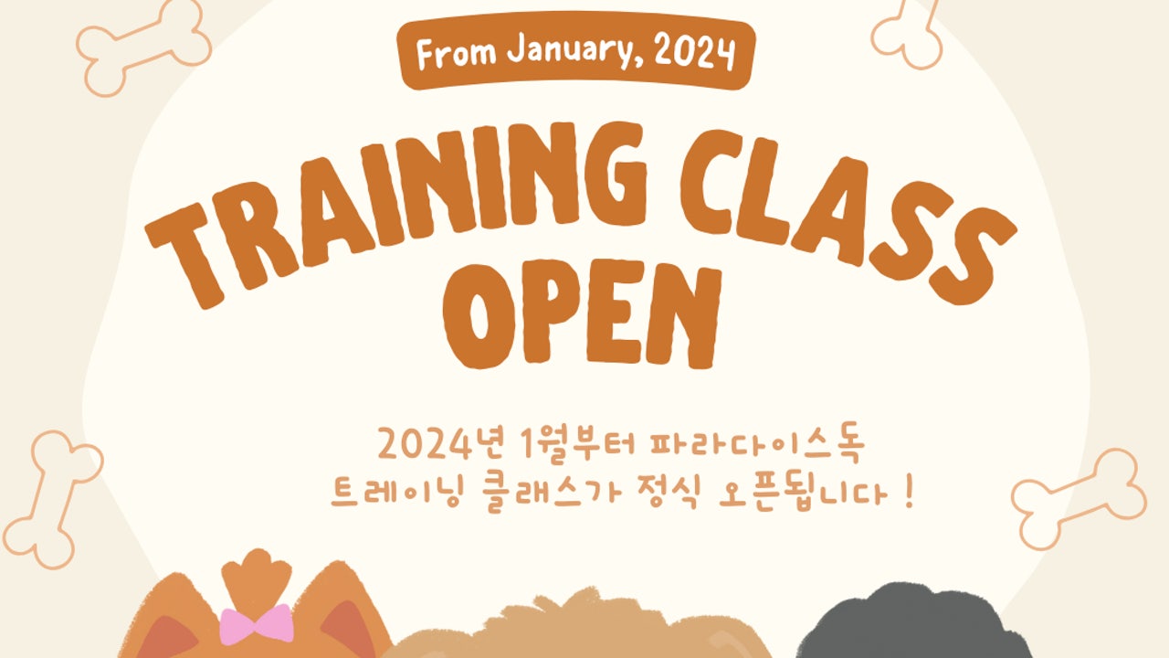 파라다이스독