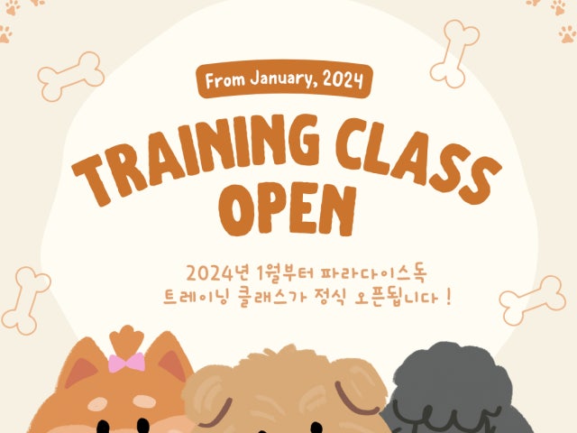 파라다이스독