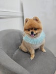 까미랑몽이
