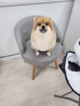 까미랑몽이