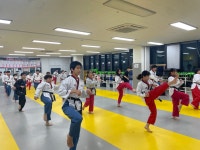 항동태권도
