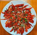 해가빛