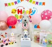 펫베이커리파프