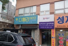 디엘리테라피