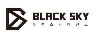 블랙스카이댄스