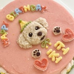 펫베이커리파프