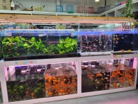 엔젤아쿠아펫가든 & 카페,만월경 군산수송점