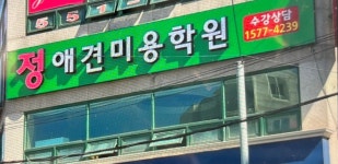 정애견미용학원 진해점