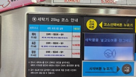 크린업24 일도점