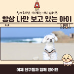 프렌즈도그