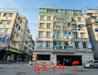 알비