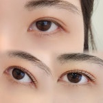 도도속눈썹