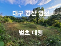 자연농원