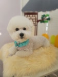 몽실묭실