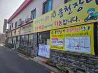 풍천장어