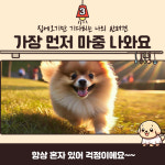 프렌즈도그