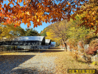 별드림 캠핑장