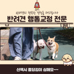 프렌즈도그
