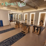 비비파라다이스짐