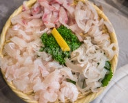 막썰어회도매센타