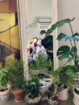 제이스텔라
