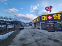 대학약국