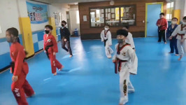 고려대솔빛태권도