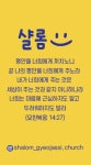 샬롬겨자씨교회