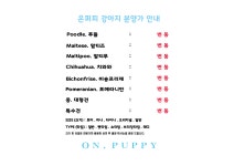 온퍼피 강아지분양 전주본점