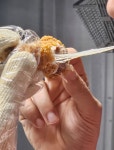 치킨렉