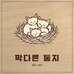 막다른둥지